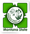 Weed and Invasive Plant Ecology and Management Group